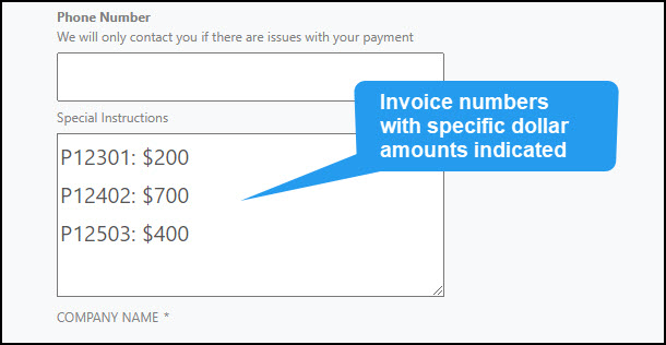 Close-up screenshot of Special Instructions textbox with invoice numbers and specific dollar amounts to be paid into each indicated.