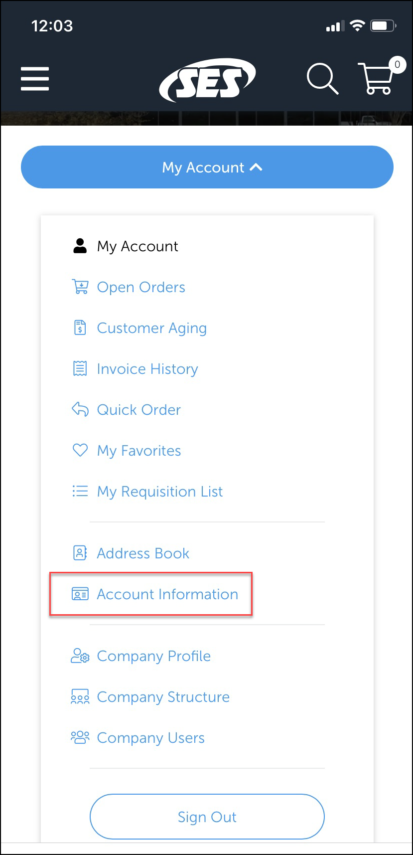 iOS_Mobile_Account_Information.png